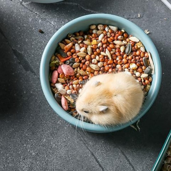 Hamstermatskål, keramik - Kaninmatskål och vattenskål för kanin marsvin gerbil iller syrisk hamster chinchilla（blå）