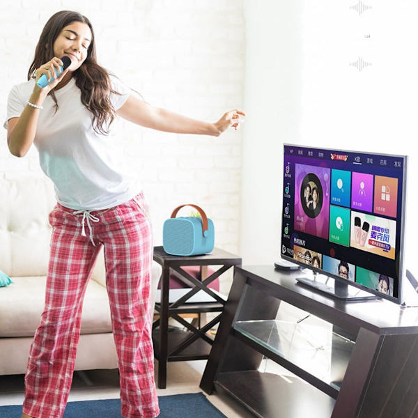 Bluetooth K-sång ljudkaraoke med mikrofon split trådlös ljud bärbar barnfamilj KTV mini set stöd AUX,TF-kort, ljudändring