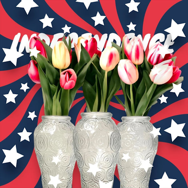 Blomglas Vas Transparent 9.4\" Heminredning Present Vas