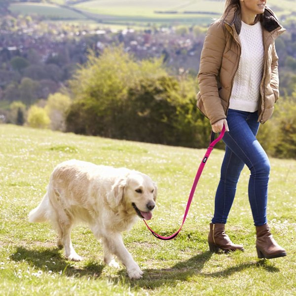 4 FT Heavy Duty Hundekobbel med 2 komfortable polstrede håndtak, trafikkhåndtak og avansert enkel snappkrok, reflekterende gåledning for store, mellomstore og S Rose4FT 4 Feet (Pack of 1)