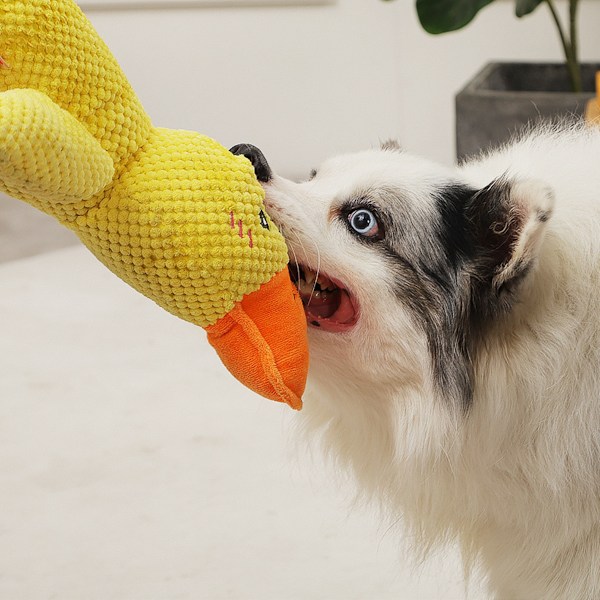 Mjuk Squeaky Hund Leksaker-Husdjur Leksak Anka, för Medelstora och Stora Hundar (gul)