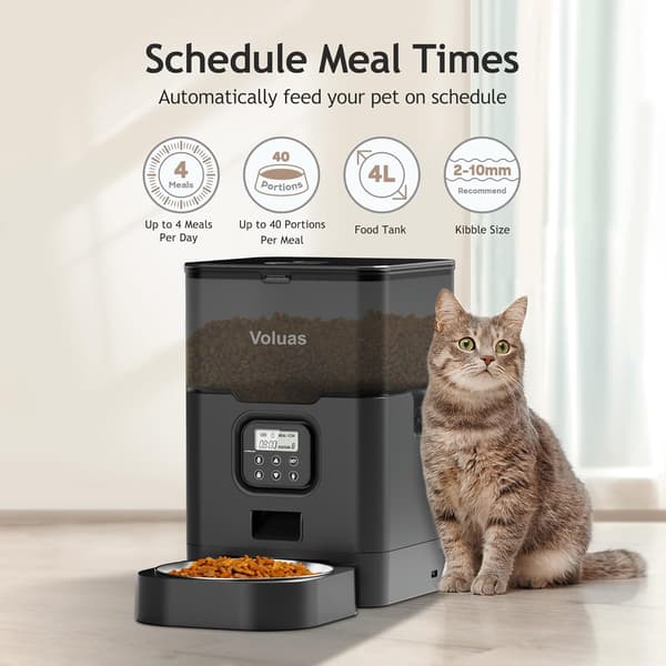 Automatiske kattematere - Tørrfôrdispenser med timer, tørkemiddelpose, programmerbar porsjonskontroll 4 måltider per dag, 10 sekunders stemmeopptaker Black Transparent 4L