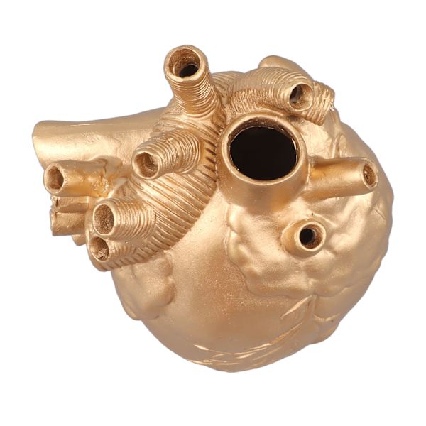 Kreative anatomiske hjertevaser i harpiks, skulptur i hjerteform, kunstneriske blomstervaser, skrivebordsdekorasjon for stue Gold