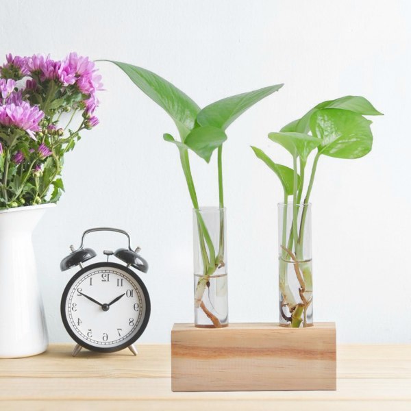 Glas Testrør Blomsterpot Hydroponisk Plante Vase Terrarium Beholder Hjem Indretning med Stativ