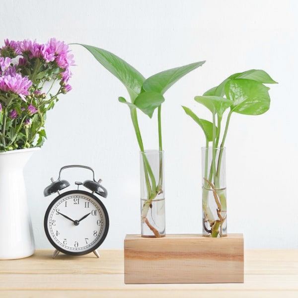 Glasprovrör Blomkruka Hydroponisk Växt Vas Terrarium Behållare Heminredning med Ställ