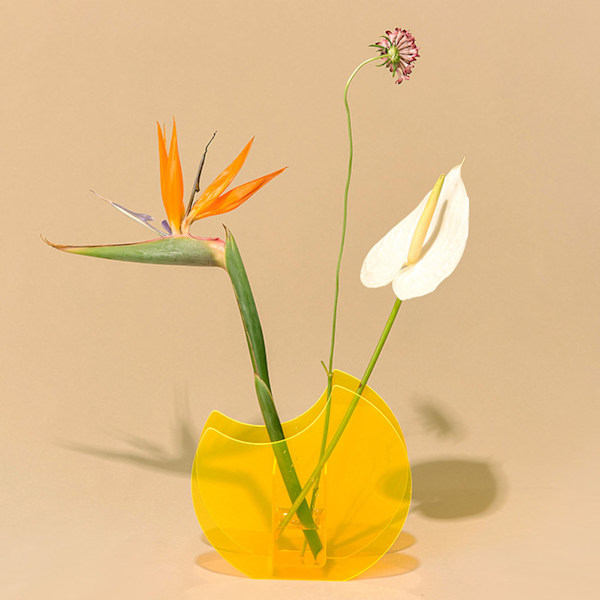 Akryl Blomvas Minimalistisk Modern Design Bärbar Växter Vas för Kontor Heminredning 18x17x4.6
