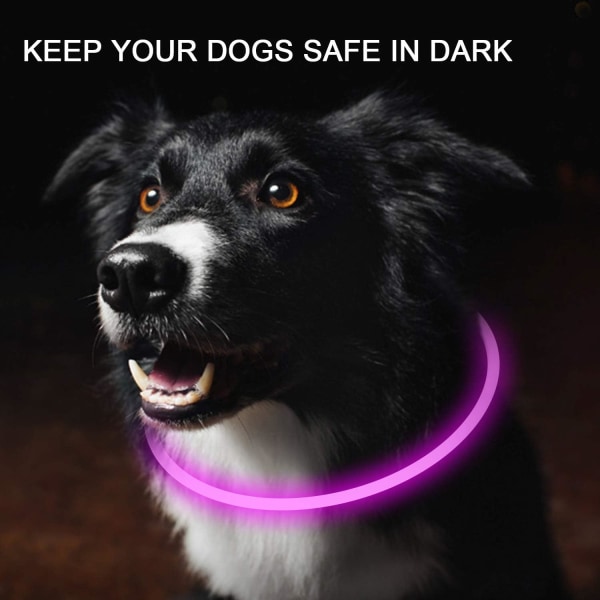 2-pack LED-halsband för hund, Light Up Hundhalsband, Uppladdningsbara hundlampor för nattpromenad-Universellt, Återanvändbart säkerhetshalsband för liten medelstor hund
