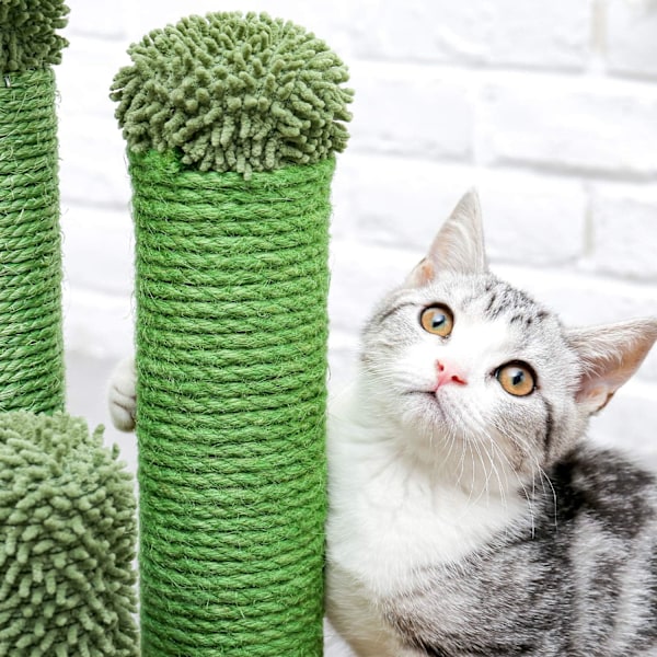 Kattklösträdskaktus Kattklösträd med 3 klöspelare och interaktiv dinglande boll