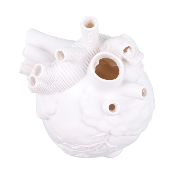 Kreative anatomiske hjertevaser i harpiks, skulptur i hjerteform, kunstneriske blomstervaser, skrivebordsdekorasjon for stue White