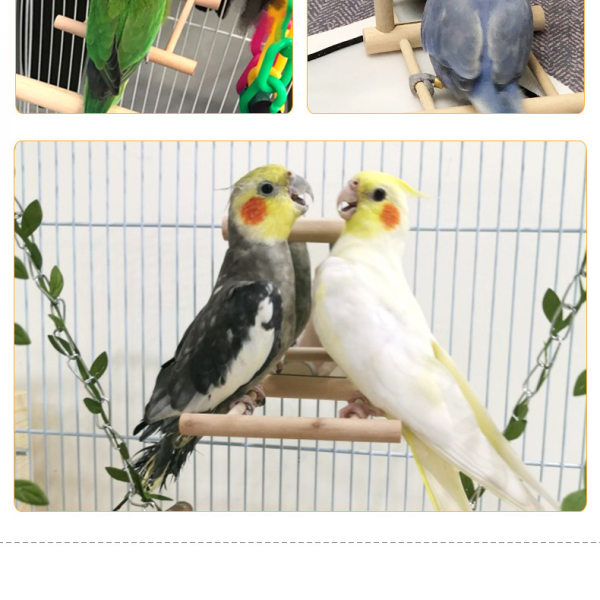 Lintulelu Papukaija Paratiisi Conures Cockatiel Häkki Keinu Puinen Hauska Lelu Lintu (Peili)