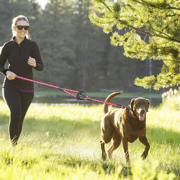 Hundehalsbånd, 5 FT Heavy Duty Dobbelthåndtak Hundeleie med Komfortabel Polstret og Reflekterende, Tau Hundeleier for Små, Mellomstore, Store Hunder (Tau-Rød) Red Large,Medium,Small