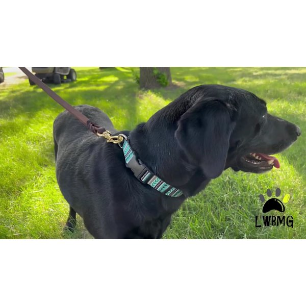 Læderhundesnor 8ft, Heavy Duty Hundesnor, Stærk og Robust Læderflettet Hundesnor, Blød og Komfortabel Læderhundesnor til Mellemstore Hunde T Brown8FT 8 ft x 3/4 inch