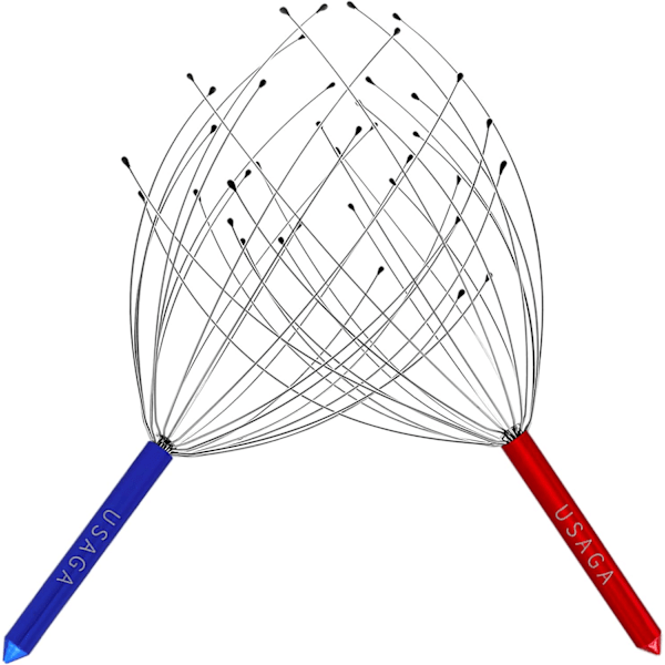 Hovedbundskraber, 20 fingre hovedbundsmassager, hovedpiskermassager til hovedkropsstress afslapning [2-pak] Opdateret version (rød og blå) Red  Blue