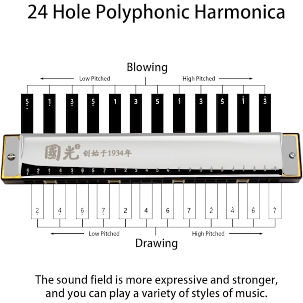 Sølv - 24 Huller Tremolo Harmonika Polyfoni Diatonisk C Nøgle 24 Hul Profession Harmonika Begyndere Børn Aldults Tremolo Harmonika