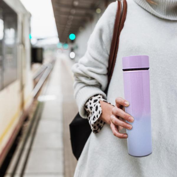 Isolerad vattenflaska Kaffe Te Resmugg Termos Vattenflaska Med Temperaturdisplay 500mL/16.9 Fl.oz - Håller Varmt Eller Kallt I 12 Timmar (Blå)