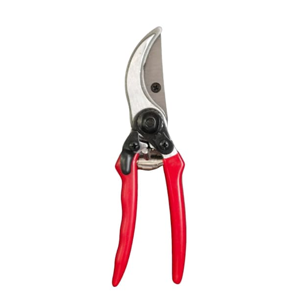 Felco 2 Classic -oksasakset, Sveitsissä valmistetut puutarhasakset, AB,AB