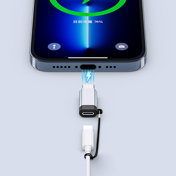 Lightning (hun) til USB-C (han) adapter, kompatibel med iPhone 15 Grå Grå
