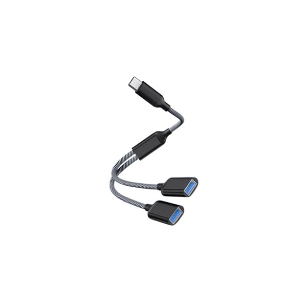 Typ-C - Dual USB 2.0 -sovitin Svart Sort