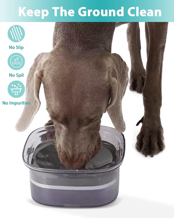 Anti-spild hundeskål, No-Spill Anti-Spill Hund Vandskål Flydende