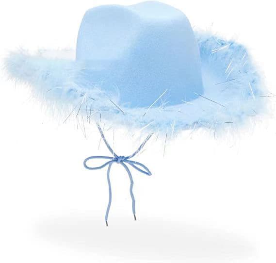 Feather Cowboy Hat Cowgirl Hat Blue
