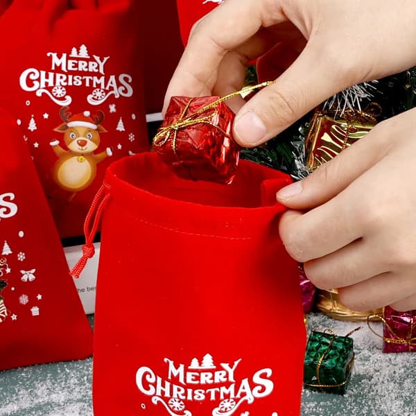 12 st julklappspåsar/förpackningspåsar/godispåsar/snackspåsar/äppelpåsar SD10-3:10*16cm