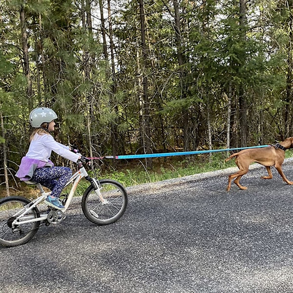 Dragrep för barncyklar Elastisk dragrem för cyklar Red