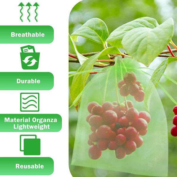 20st fruktskyddspåse Frukt-, vindruvor-, jordgubbs-, insekts- och fågelförebyggande nätpåse white 17*23CM