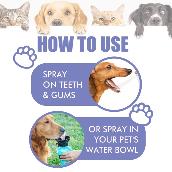 60ml Hundkatt Tandrengöring spray tandfläckar för att ta bort lukt frisk andedräkt husdjur munrengöring tandsten