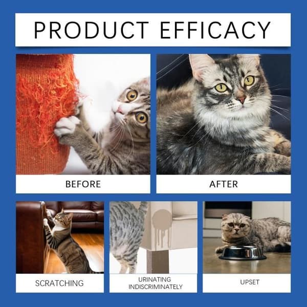 Kattferomoner Beroligende Diffuser: Premium Feromondiffuser for katter - Kattferomondiffuser - Katteberoligende