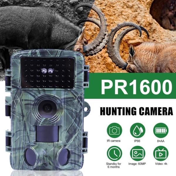 Åtelkamera - QINGQUE - PR1600 - 60MP - 4K - Rörelsedetektering - WiFi