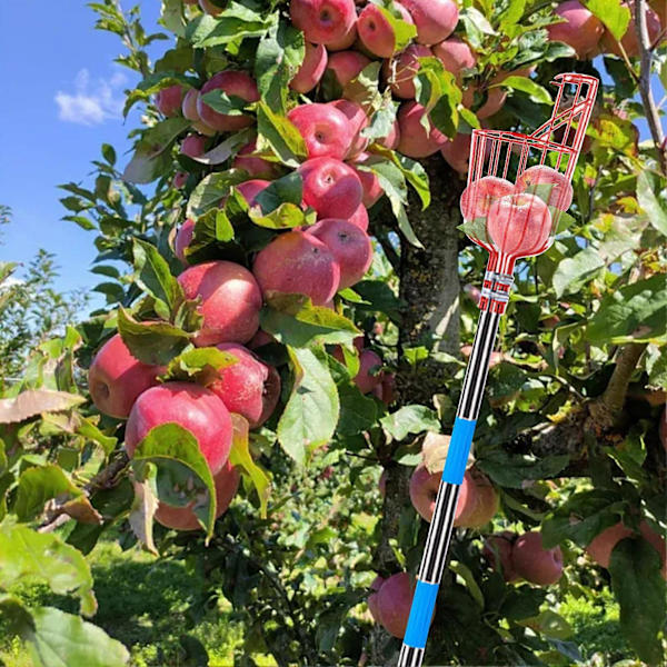 Fruit Picker Nut Picker with Storage Bag Adjustable Long Handle Design Large Capacity Easy to Install Fruit Collection Tool M