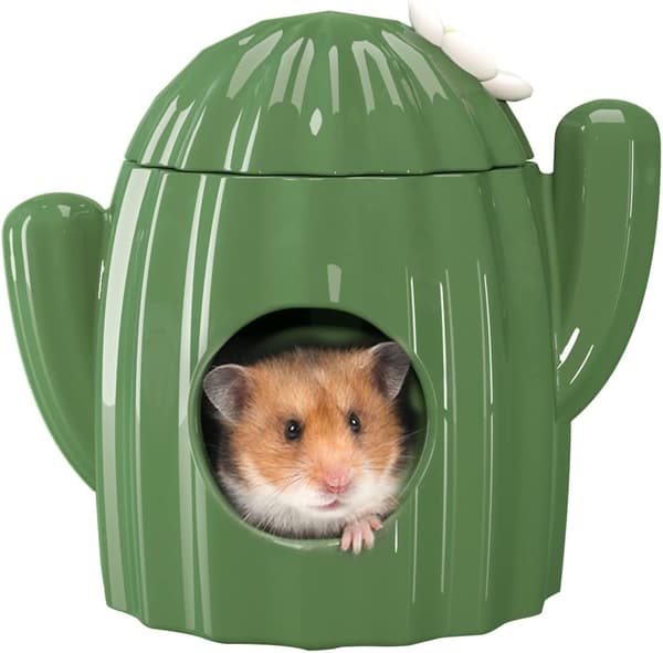 Kaktus Keramiskt Hamsterhus - Litet