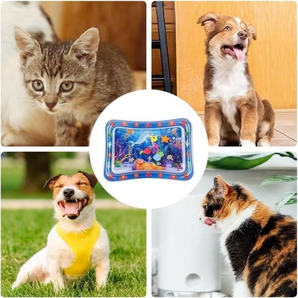 Kattelegemåtte, legemåtte med vandsensor til katte og hunde, oppustelig kølemåtte