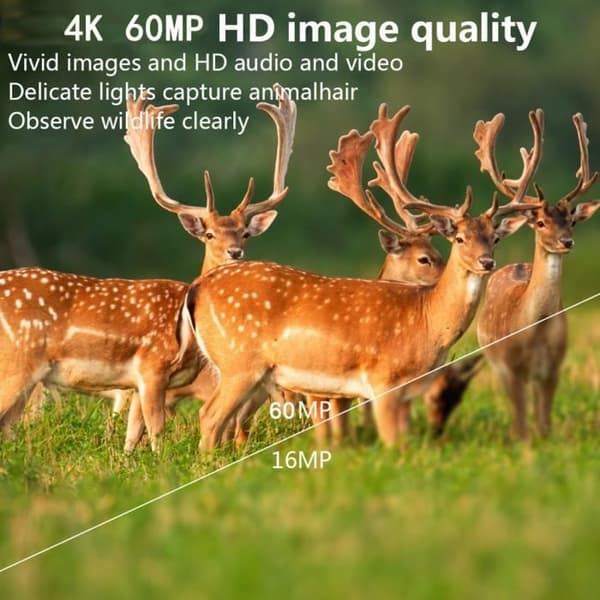 Åtelkamera - QINGQUE - PR1600 - 60MP - 4K - Rörelsedetektering - WiFi