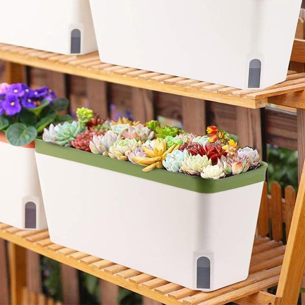 Rektangulär Balkonglåda för Grönsaker och Blommor - Trädgårdsplanteringskärl