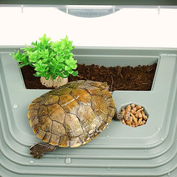 Spacious Turtle Habitat Aquarium with Basking Ramp, Anti-Escape