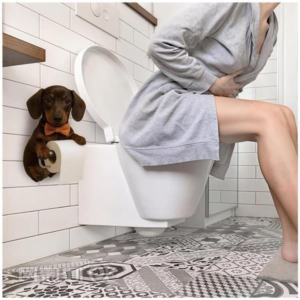 Koiran wc-paperiteline, 3D-hartsipaperipyyheteline kissoille - C