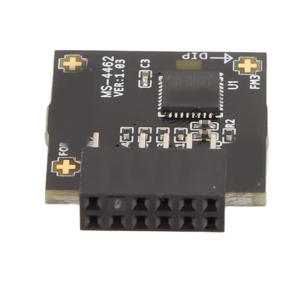 TPM 2.0 Modul SLB 9670 SPI 12Pin Sikkerhedschip til MSI Bundkort Windows 10 11