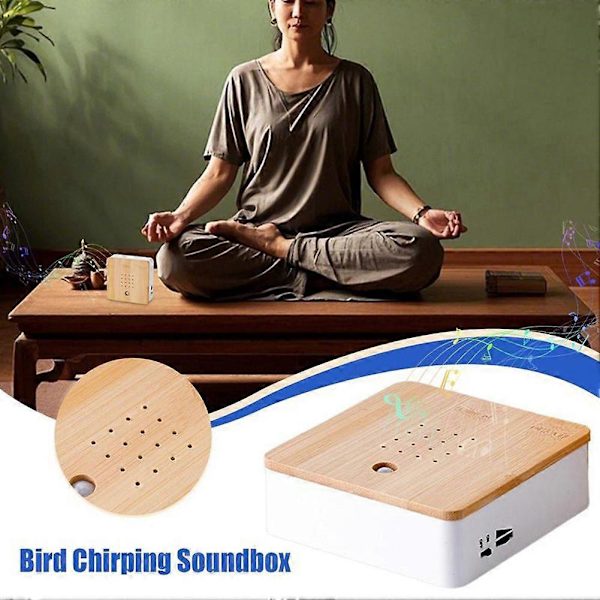 Bird Chirping Sound Box Motion Sensor Singing Bird Box