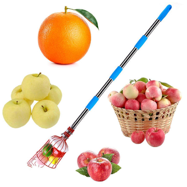 Fruit Picker Nut Picker with Storage Bag Adjustable Long Handle Design Large Capacity Easy to Install Fruit Collection Tool S