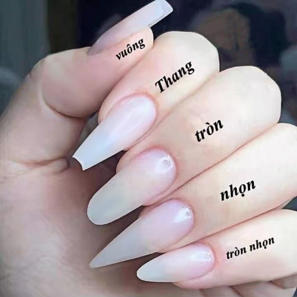 500 bitar Balett Nageltips Bit Set Mode Enkel Mjuk Nagellapp För Kvinnor Kvinna Gj0496 01