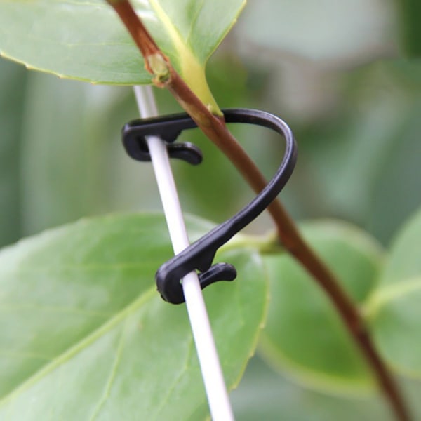 1/2/3/5/10 förpackningar Växtympningsklämmor Vines Bundet spänne Fast surrningskrok Flexibel klämma 10 PCS