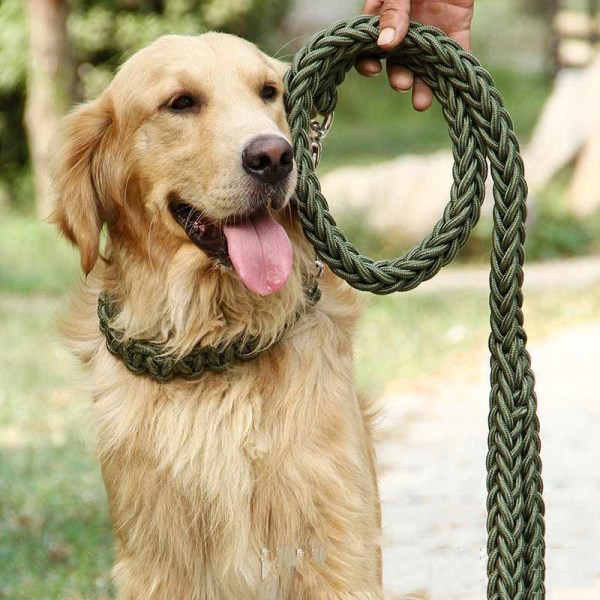 Hundhalsband Starkt dragrep koppel Dragrep Set Nylon Stort husdjursrep Produkt Green