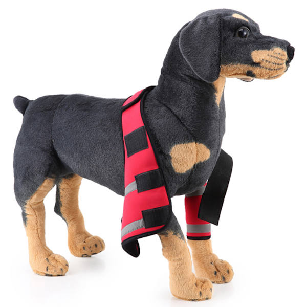 Hundbensskydd för framben, kompressionsbandage, ger extra stöd för hasleden, justerbar, hundvård Red Second Generation L