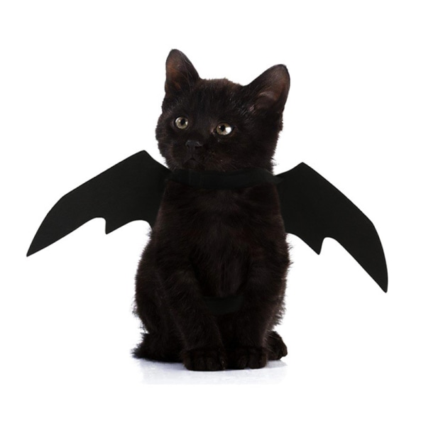 Husdjurshund Katt Fladdermusvinge Cosplay Prop Halloween Fladdermus Fancy Dress Kostym Outfit Wings Black