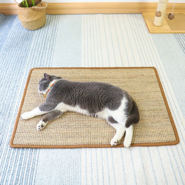 Rectangle Cat Scratching Board Skrapsäker skyddssoffa för liten medelstor katt Hook 40X60cm