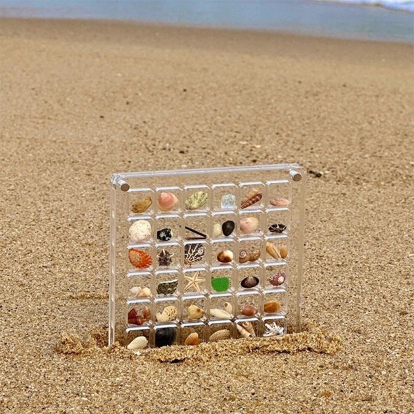 Akryl Magnetisk Seashell Display Box Multi-purpose Craft Dekorativt ställ för ädelstenar