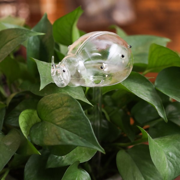 Söt automatisk blombevattningsanordning Glas självbevattningsstakar Växtglasvattenbehållare Automatisk bevattning Vattenklot Snail A