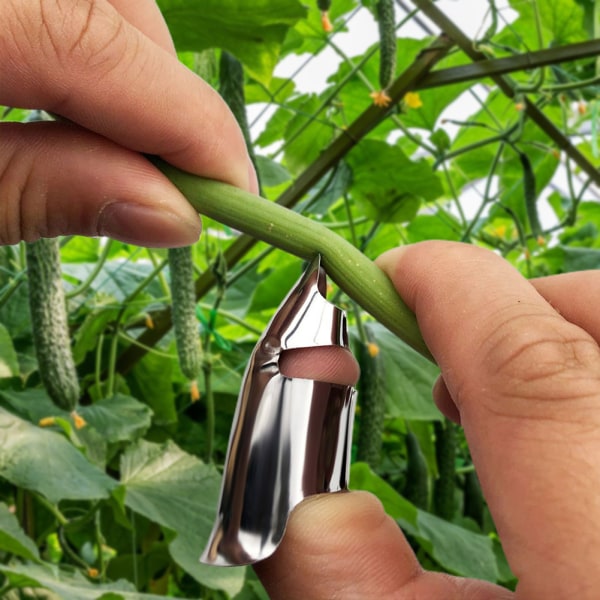 Plockning av rostfritt stål tumskärare för bönor Enkel skörd Bönplockare för jordgubbar paprika 2pcs