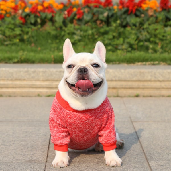 Djurkläder Mjuka, varma andas hundskjorta Sweatshirt Klassisk förtjockningssticka för hundkatt Wine Red S